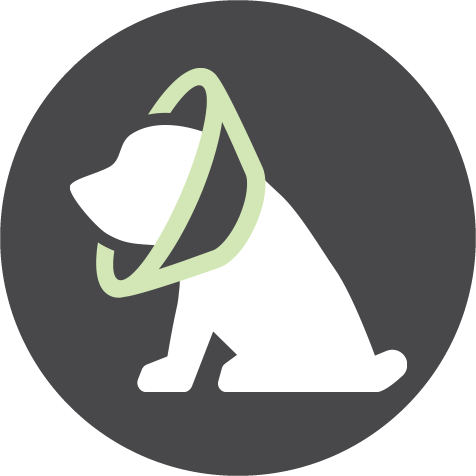 Dog Cone Icon