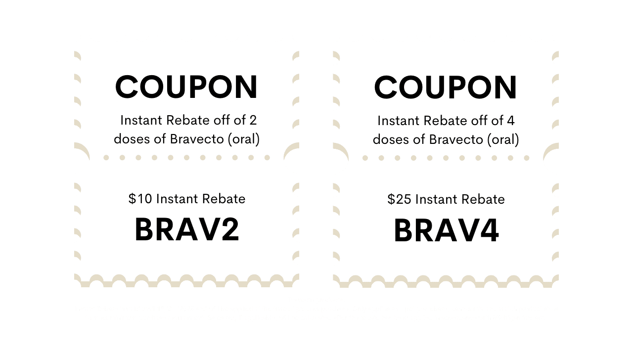 Brav Code (1)