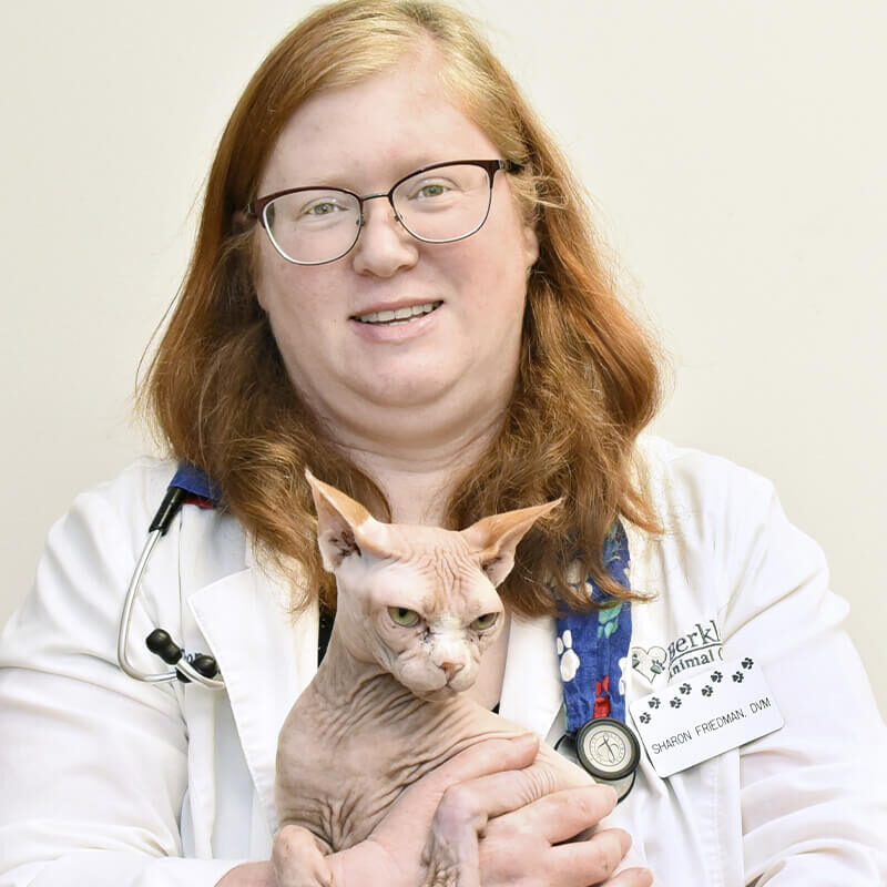Dr Friedmen With Cat
